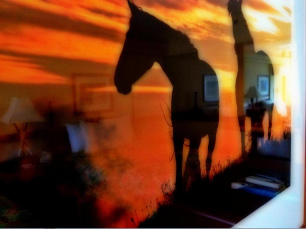 Equus Otel Honolulu Dış mekan fotoğraf