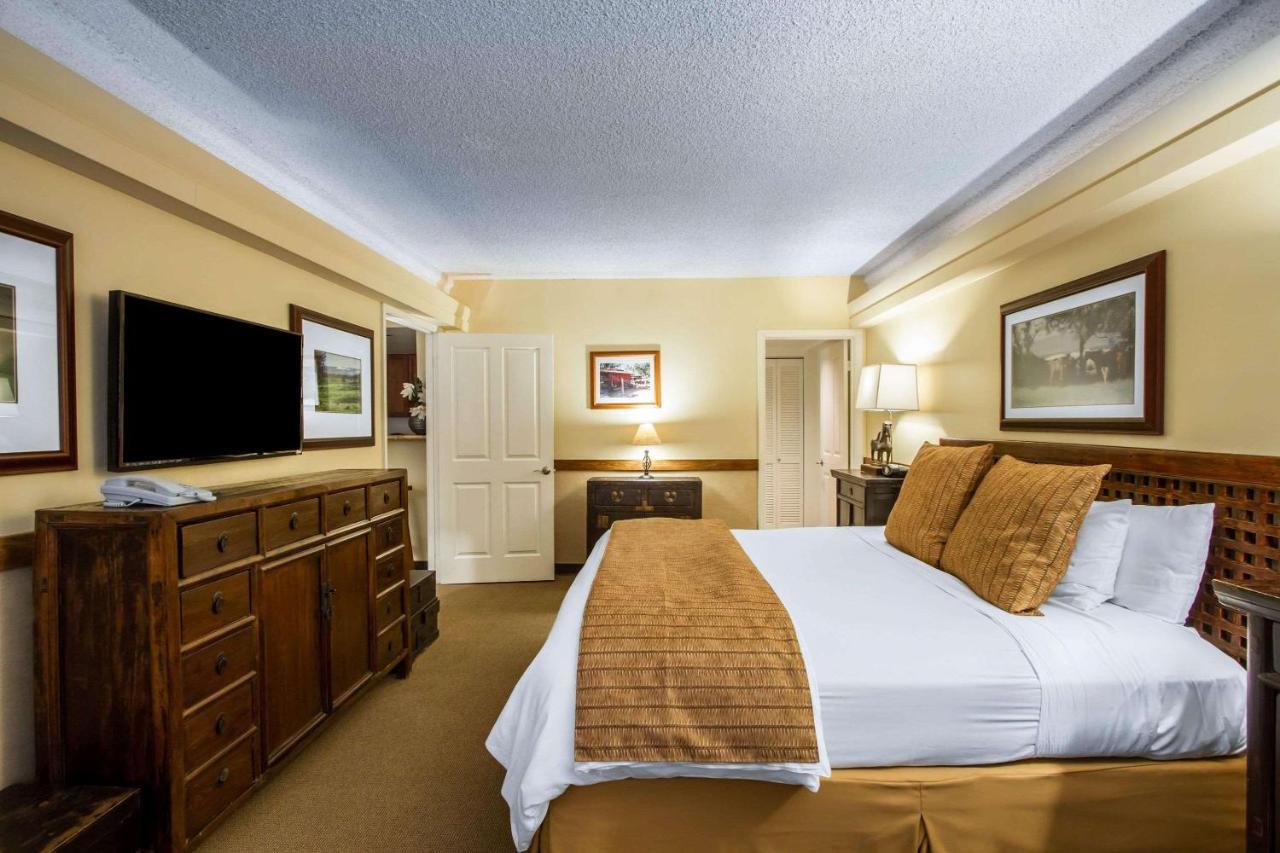 Equus Otel Honolulu Dış mekan fotoğraf