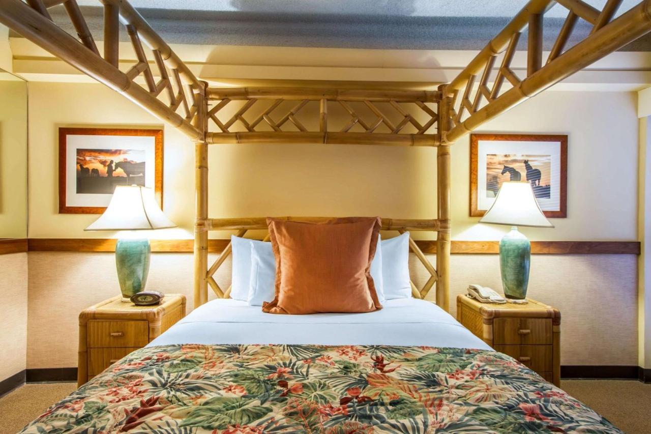Equus Otel Honolulu Dış mekan fotoğraf