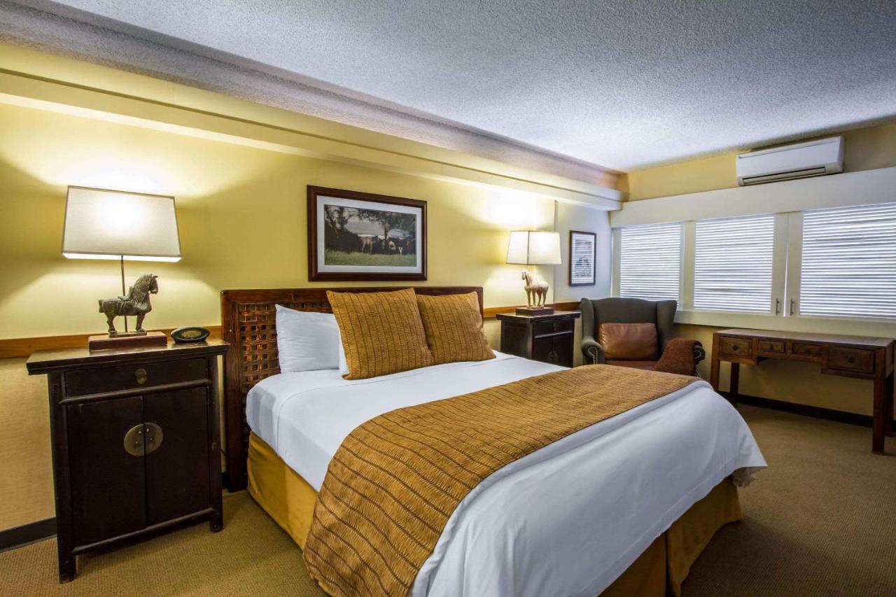 Equus Otel Honolulu Dış mekan fotoğraf