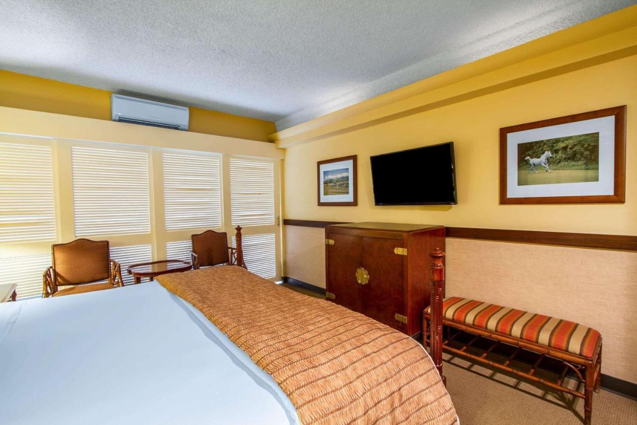 Equus Otel Honolulu Dış mekan fotoğraf