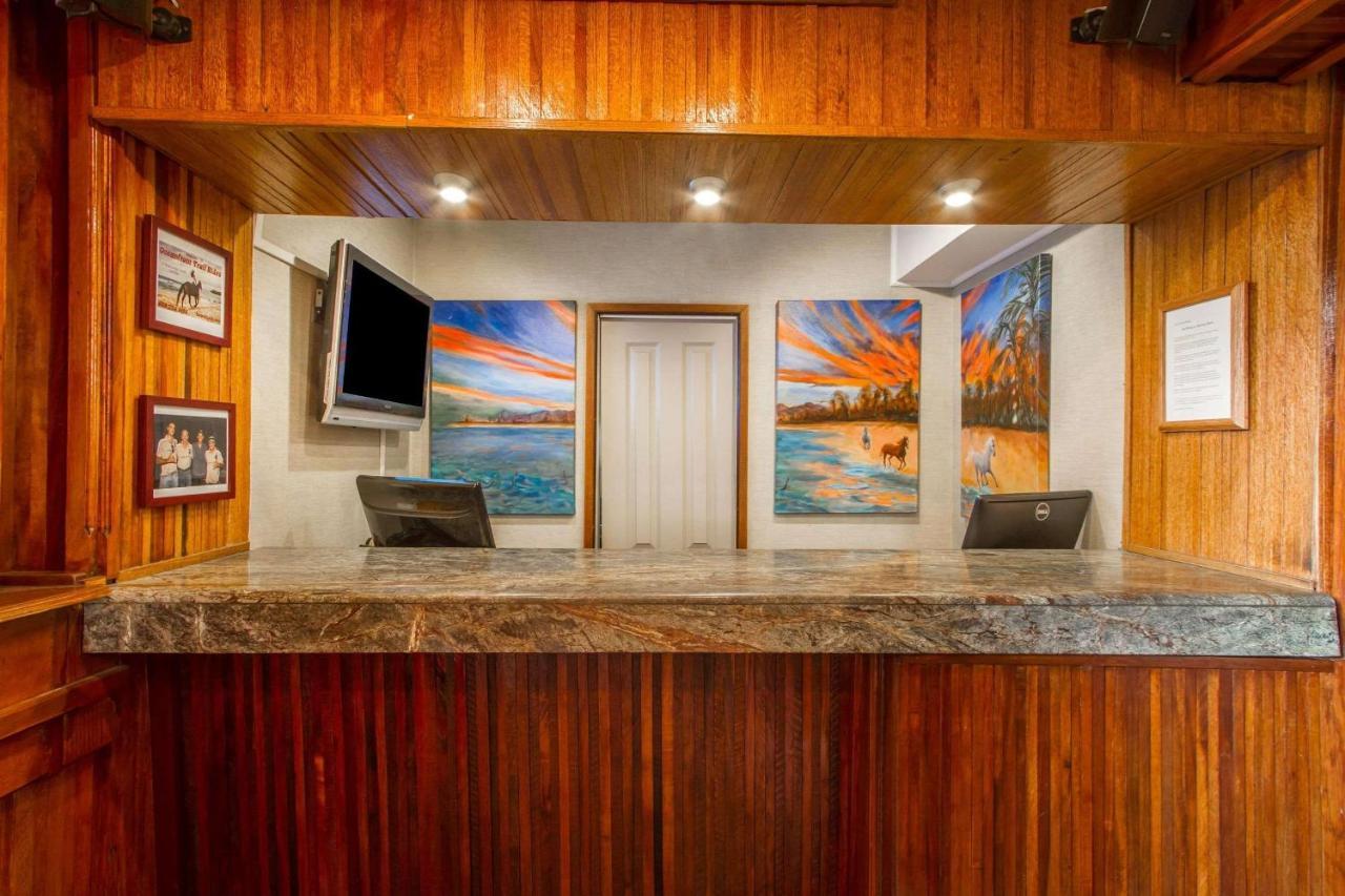 Equus Otel Honolulu Dış mekan fotoğraf